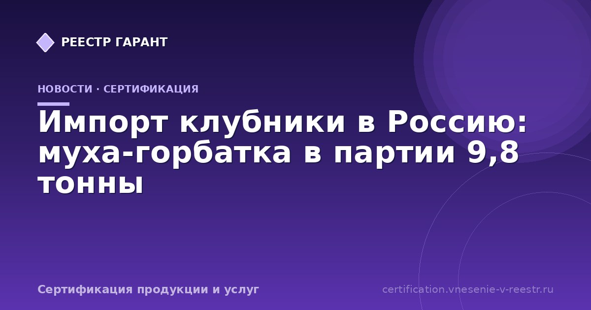Импорт клубники в Россию: муха-горбатка в партии 9,8 тонны
