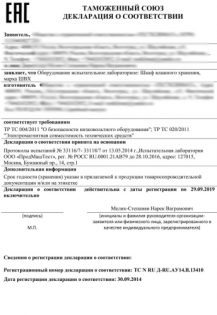 Образец документа — Декларация ТР ТС