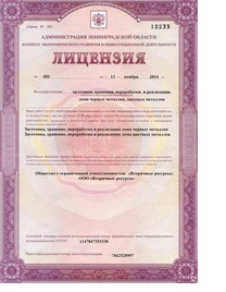 Образец документа — Лицензия на лом черных и цветных металлов