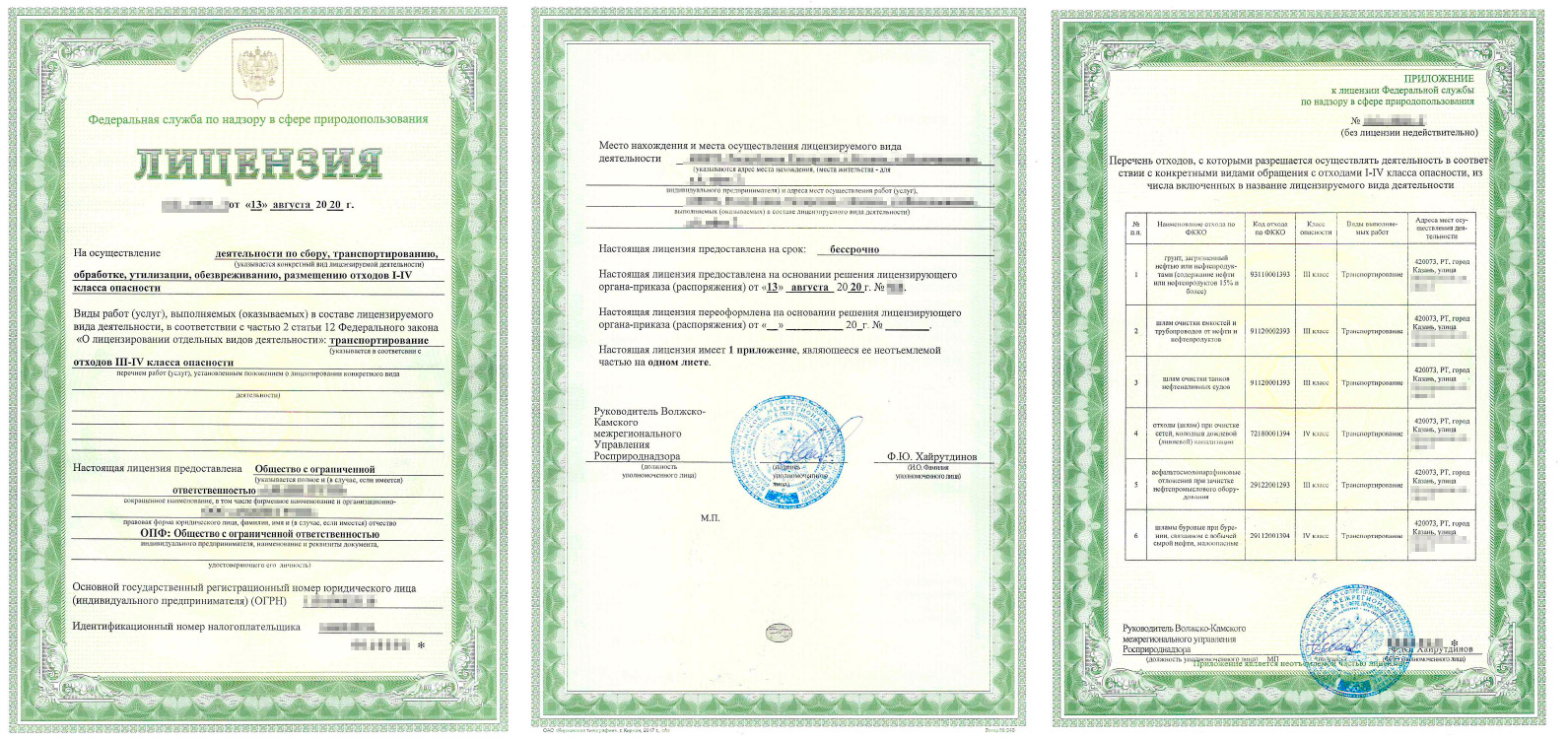 Образец документа — Лицензия на транспортирование отходов
