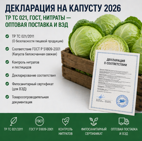 Декларация на Капусту 2026: ТР ТС 021, ГОСТ, Нитраты — Оптовая Поставка и ВЭД